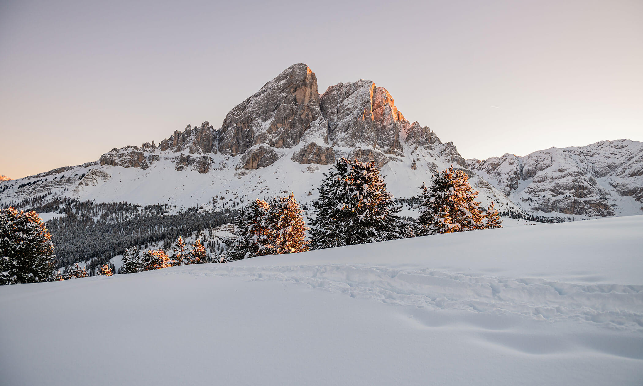 Verschneite Berglandschaft bei Sonnenaufgang mit immergrünen Bäumen und sanftem Licht auf den felsigen Gipfeln. - Lüch de Poldele